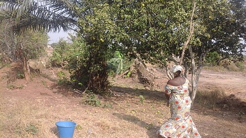 Agriculture & seasonal work